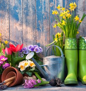 An image of wellington boots, flowers and pots to represent gardening
