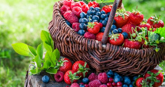 A basket of berry fruits