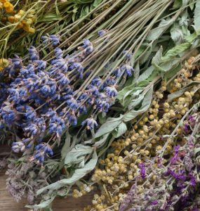 A range of dried flowers and herbs