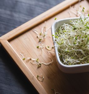 Alfalfa sprouts in a white bowl on a wooden board background