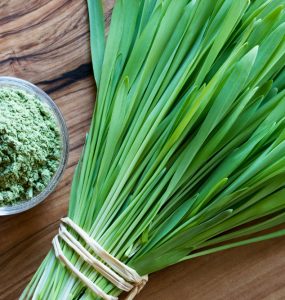 A bunch of fresh Barley Grass and Barley Grass powder on a wooden board