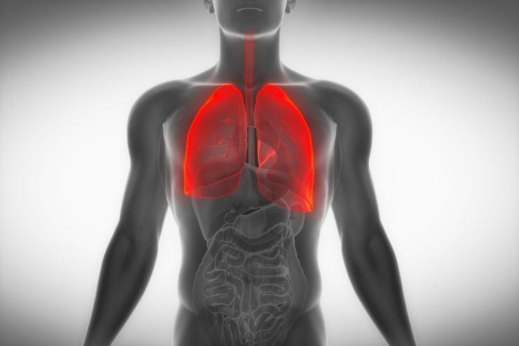 Body outline highlighting the lungs to represent COPD