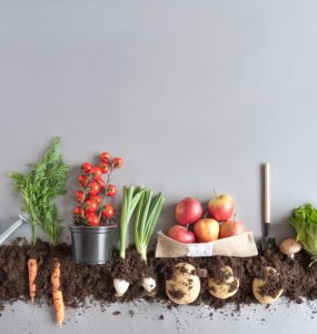 A range of fruits and vegetables on soil to represent organic food