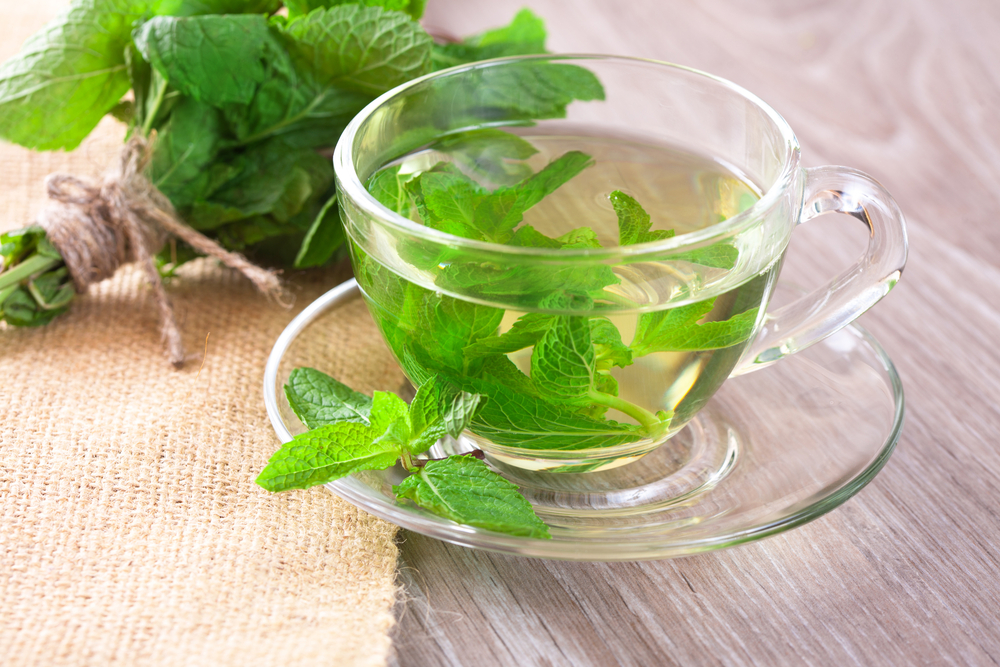 A cup of fresh mint tea and a bunch of fresh mint