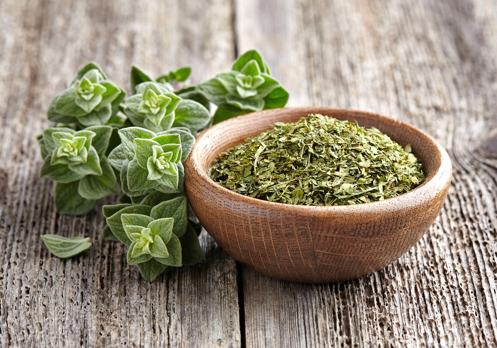 Dried oregano in a wooden bowl and fresh oregano plant