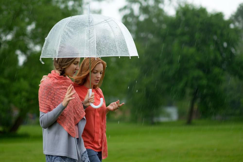 Two friends talking and walking in a park