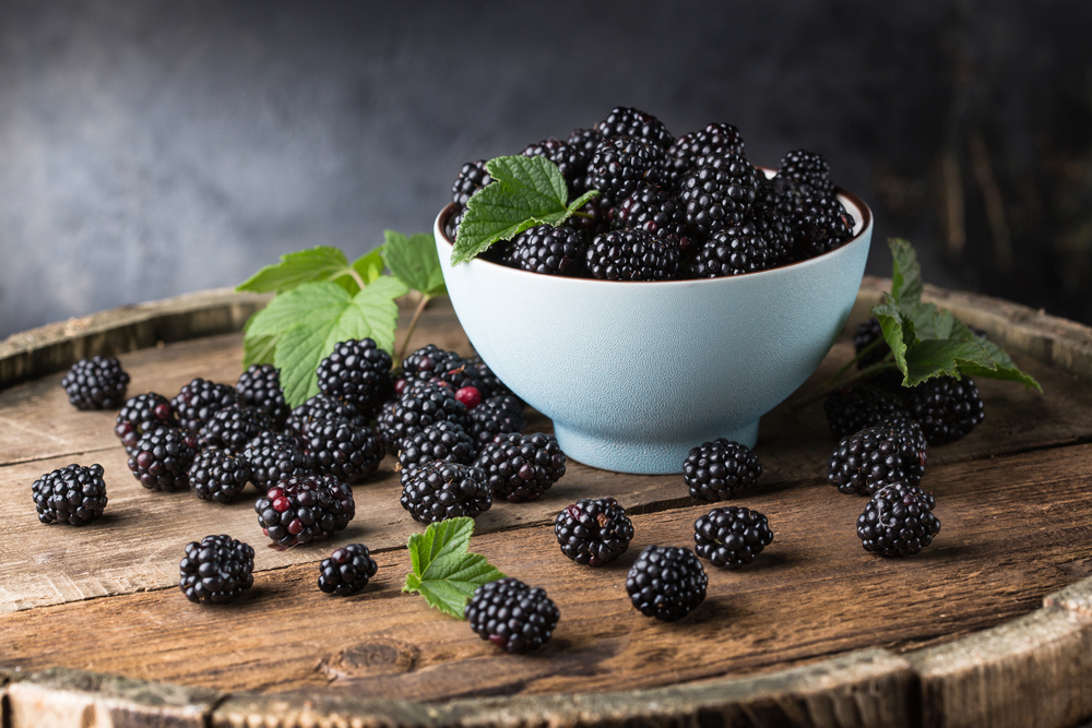 A bowl of blackberries