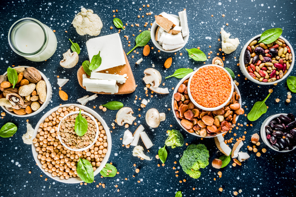 Sources of plant protein