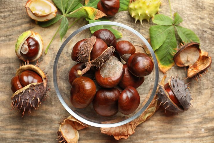 A bowl of horse chestnuts