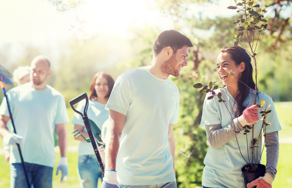 People in a community garden